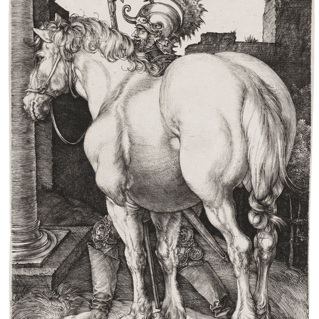 Albrecht Dürer — Большая лошадь