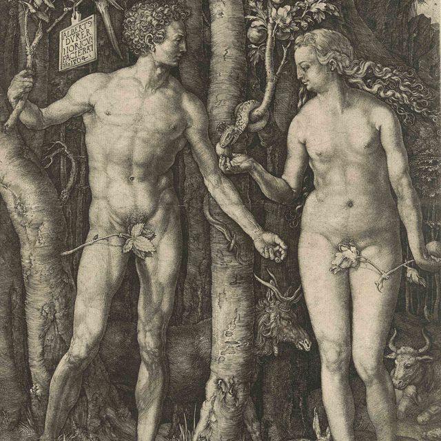Albrecht Dürer — Адам и Ева (бакалавриат, магистратура, Зал. 1; С.М.С. 39)