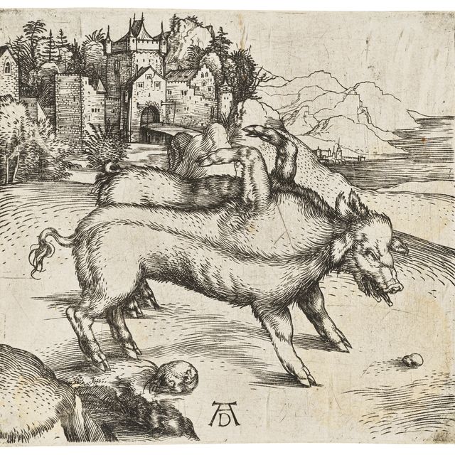 Albrecht Dürer — Чудовищная свиноматка Ландсера