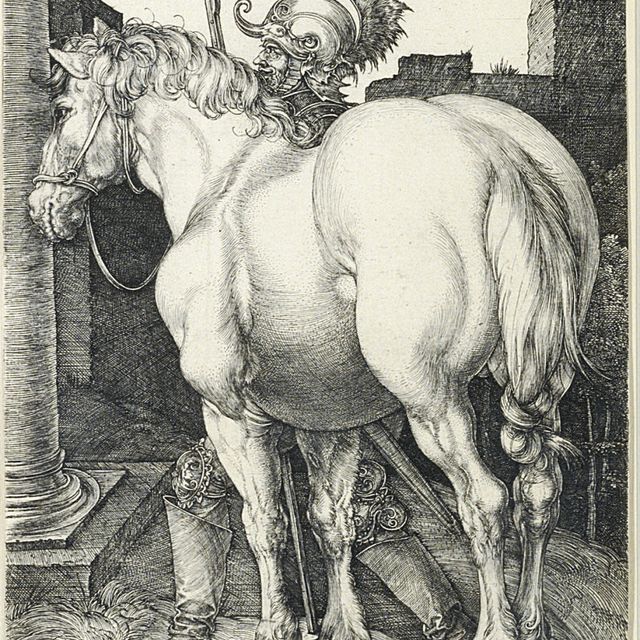 Albrecht Dürer — Большая лошадь (Б. 97; М., Зал. 94; С.М.С. 43)