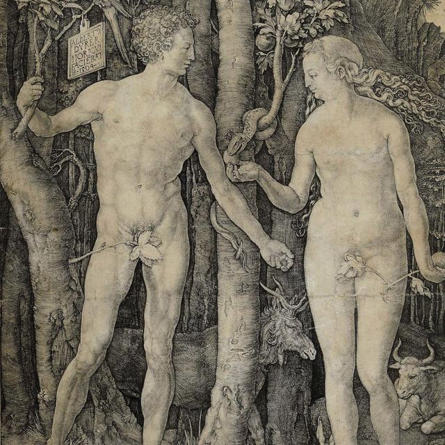Albrecht Dürer — Адам и Ева (Барч, Медер, Холстейн 1)