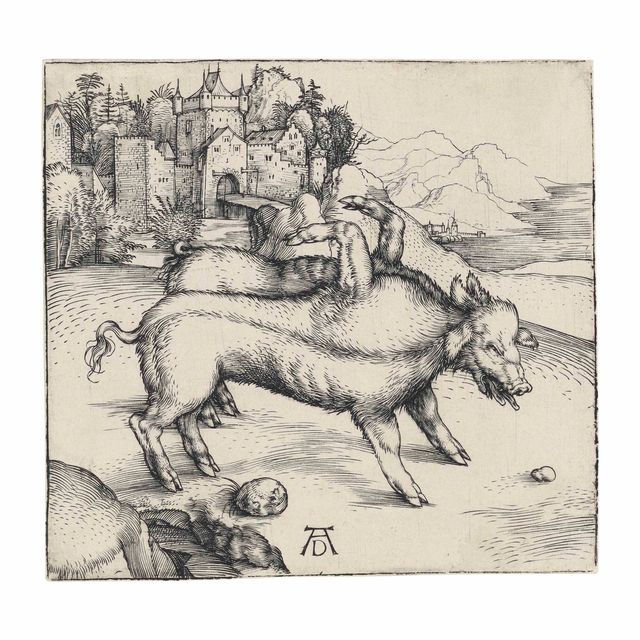 Albrecht Dürer — Чудовищная свиноматка Ландсера