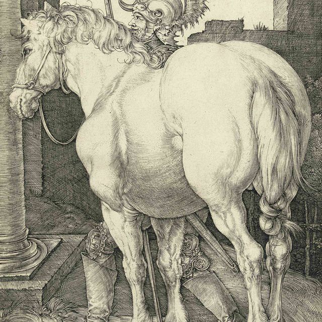 Albrecht Dürer — Большая лошадь (Б. 97; М., Зал. 94; С.М.С. 43)