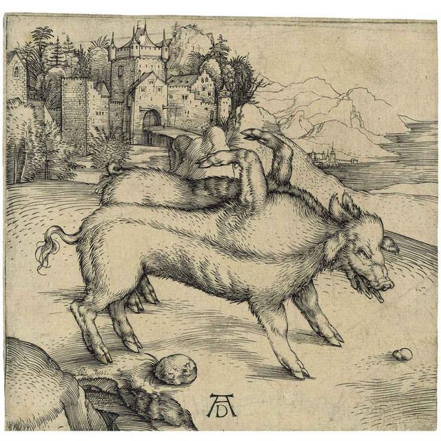 Albrecht Dürer — Чудовищная свинья Ландсера (Барч, 95; Медер, Холстейн, 82)