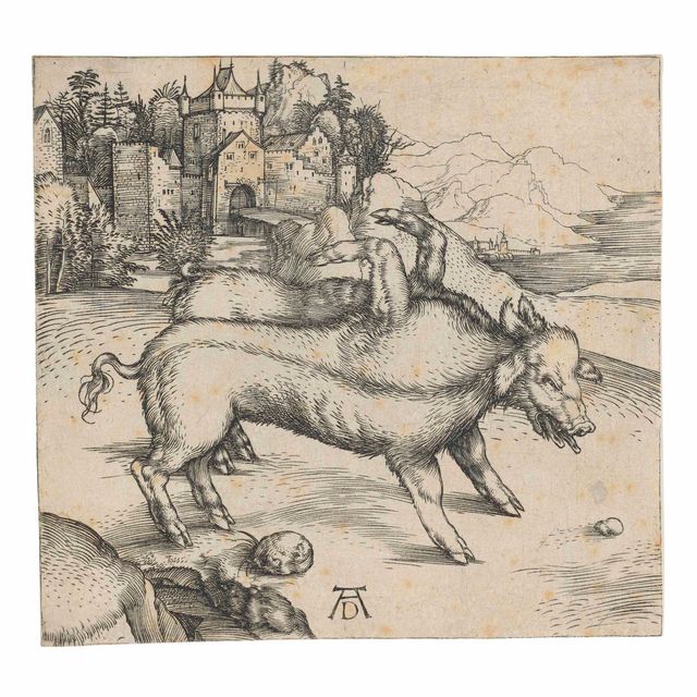 Albrecht Dürer — Чудовищная свиноматка Ландсера