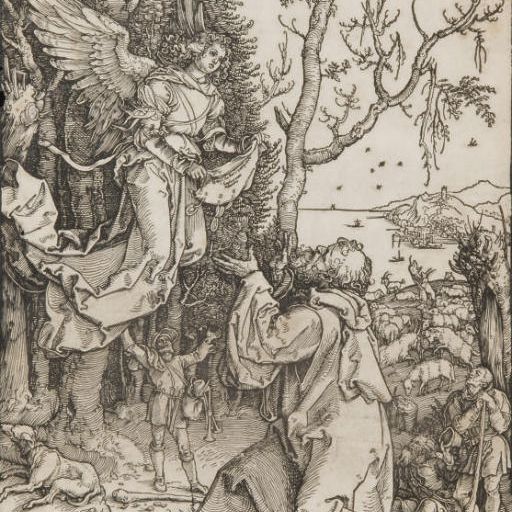 Albrecht Dürer — Иоахим и Ангел, "Сера, как жизнь на небесах" (Барч, 78)