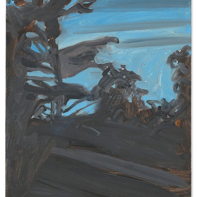 Alex Katz — Учеба для Сумерек