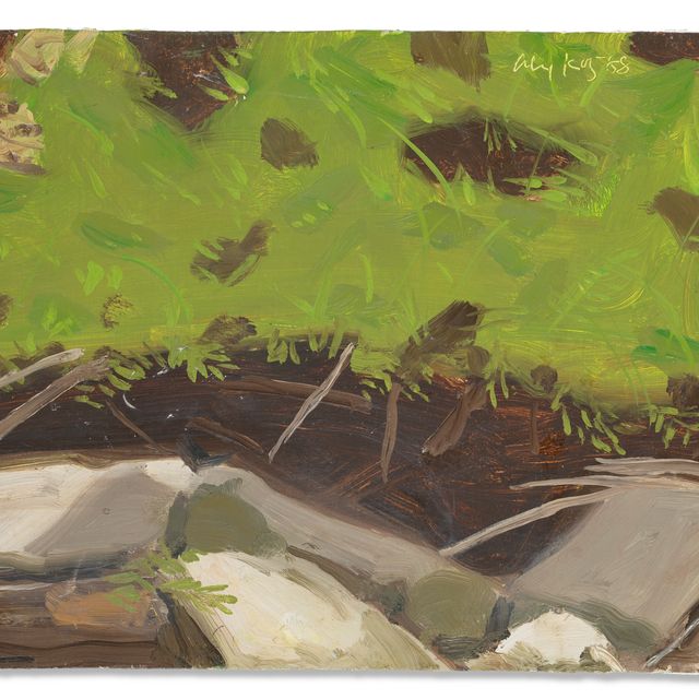 Alex Katz — Исследование для Black Brook 2