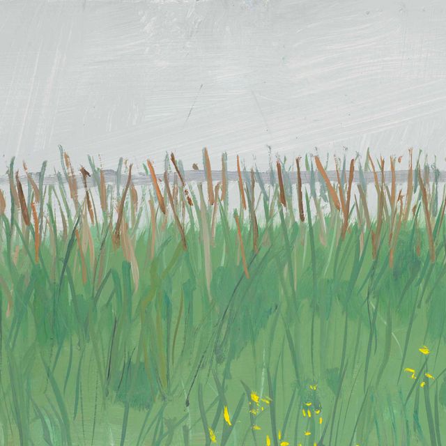 Alex Katz — Пляжная трава