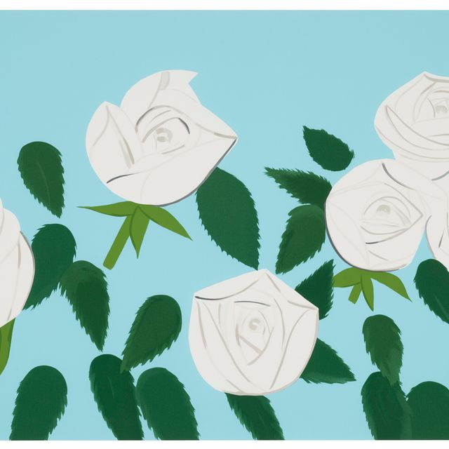Alex Katz — Белые розы