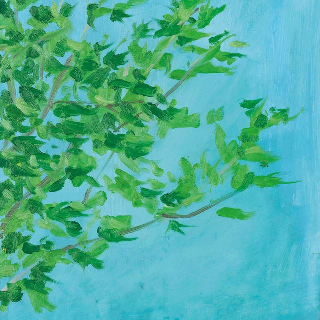 Alex Katz — Ветви