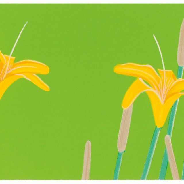 Alex Katz — Лилейники