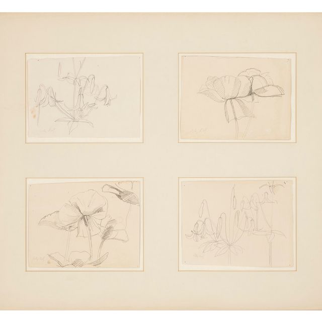 Alex Katz — Два исследования лилейников и два исследования первоцветов