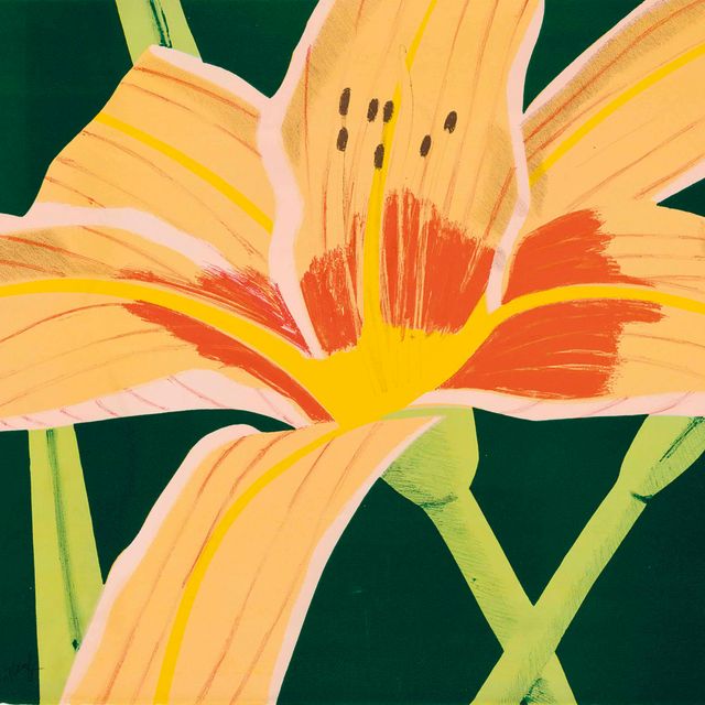 Alex Katz — День лилии 1, 1969