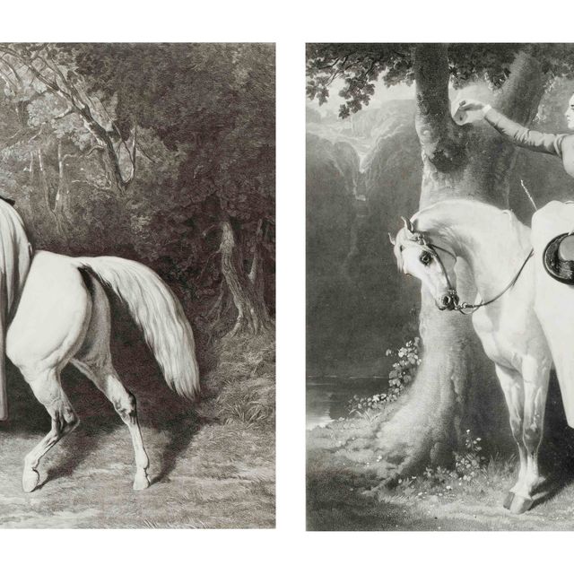 Alfred De Dreux — Иллюзии ; Представление П. Коттена ; Комната для свиданий ; Замок А. Мартине