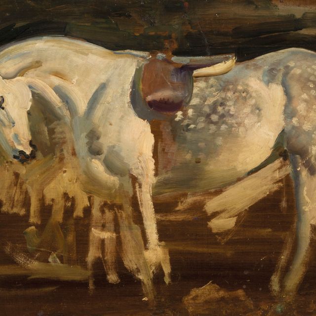 Alfred James Munnings — Этюд серой лошади