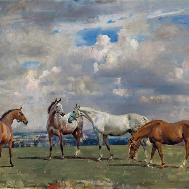 Alfred James Munnings — Лошади на траве