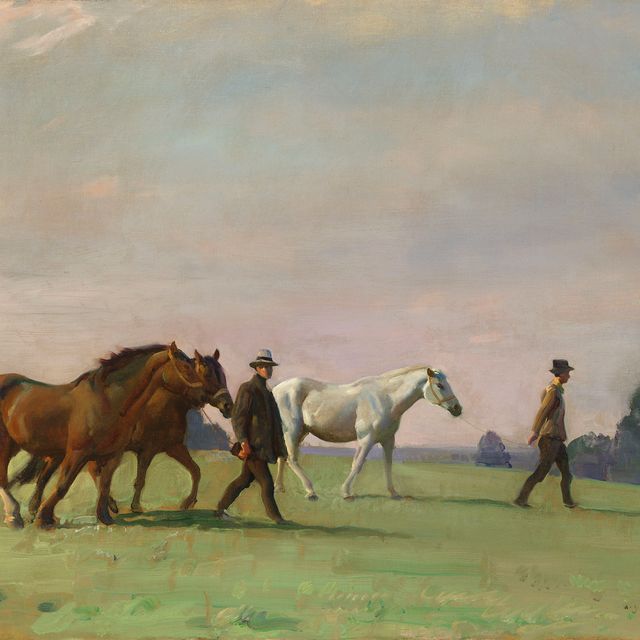 Alfred James Munnings — Зеленый луг