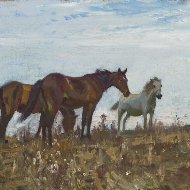 Alfred James Munnings — На вересковых пустошах
