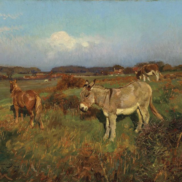 Alfred James Munnings — Пони и ослы