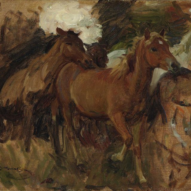 Alfred James Munnings — Проходя через щель