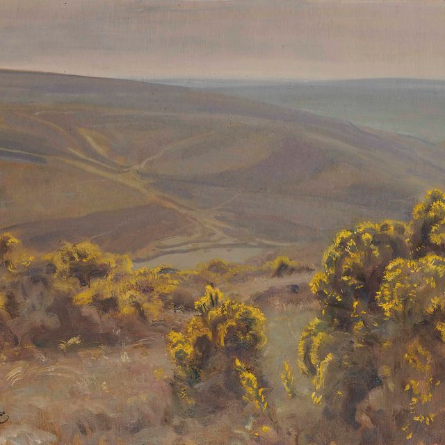 Alfred James Munnings — Эксмур, с Линмут-роуд, Порлок