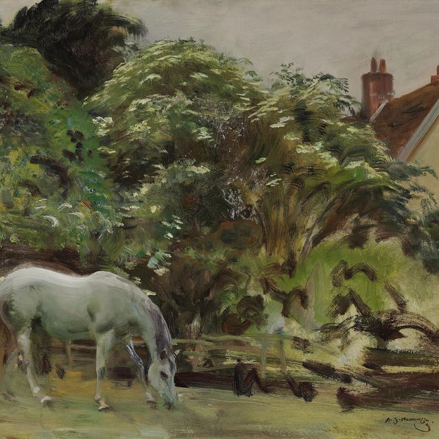Alfred James Munnings — Паддок, Касл-хаус, Дедхэм