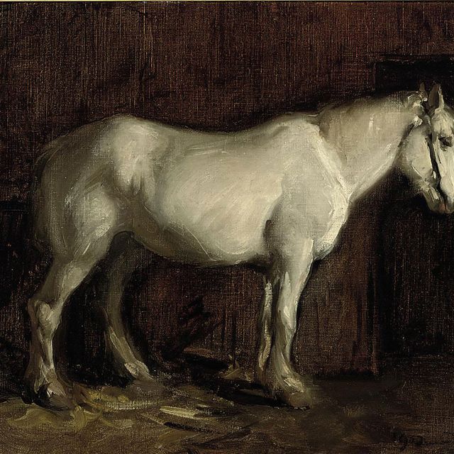 Alfred James Munnings — Серая в конюшне