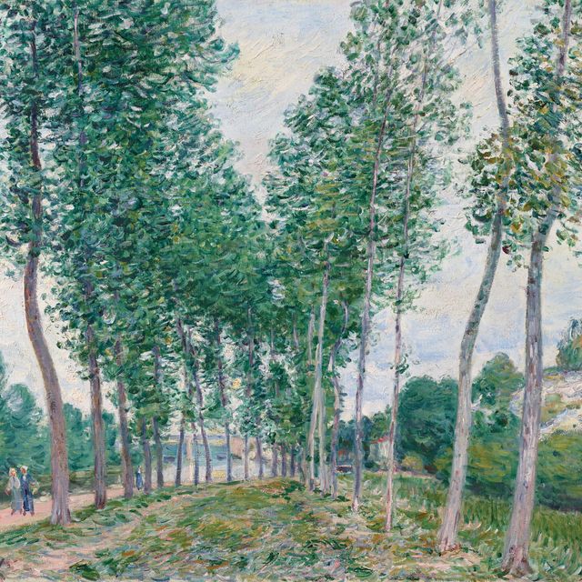 Alfred Sisley — Собрание людей на границе Луинга