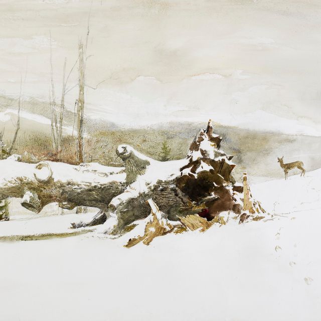 Andrew Wyeth — Треков