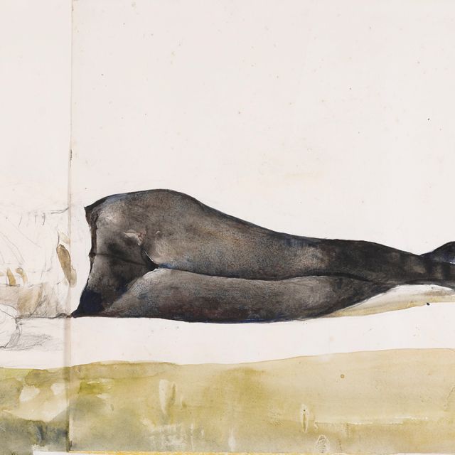 Andrew Wyeth — Готовьтесь к "Отдыху красоты"