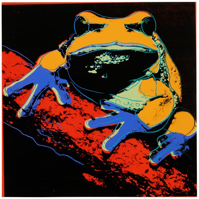 Andy Warhol — Древесная лягушка из сосновых пустошей, относящаяся к исчезающему виду