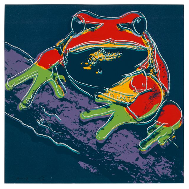 Andy Warhol — Древесная лягушка из сосновых пустошей, относящаяся к исчезающему виду
