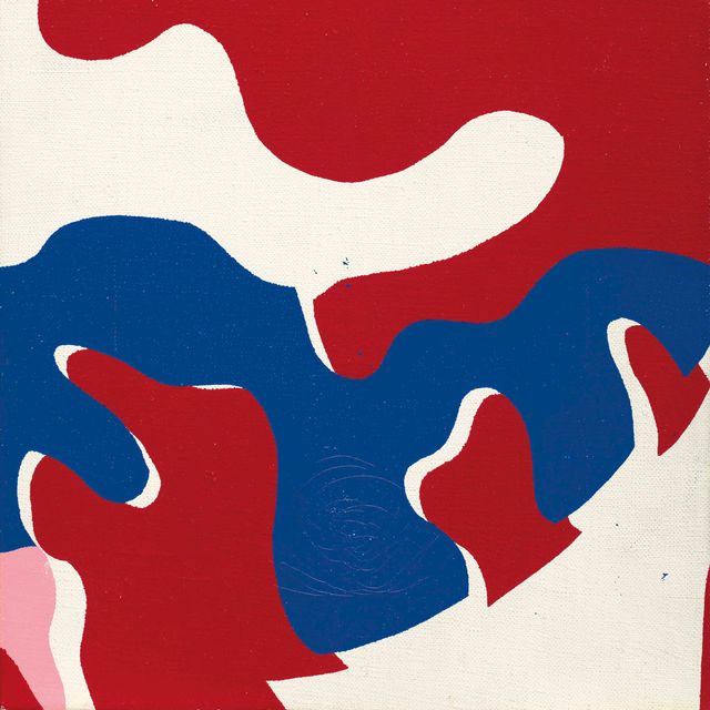 Andy Warhol — Камуфляж