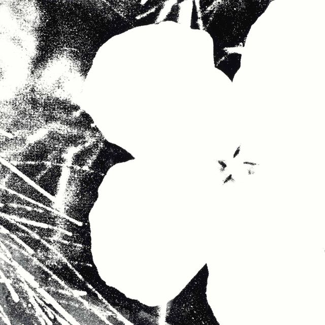 Andy Warhol — Цветы