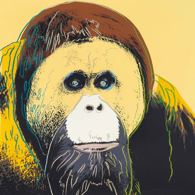 Andy Warhol — Орангутанг, принадлежащий к вымирающему виду