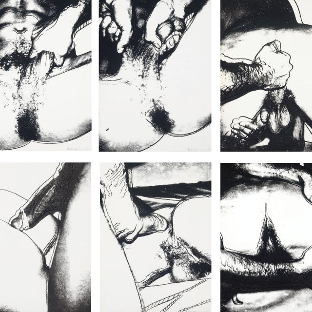 Andy Warhol — Половые органы (F. & S. 172-77)