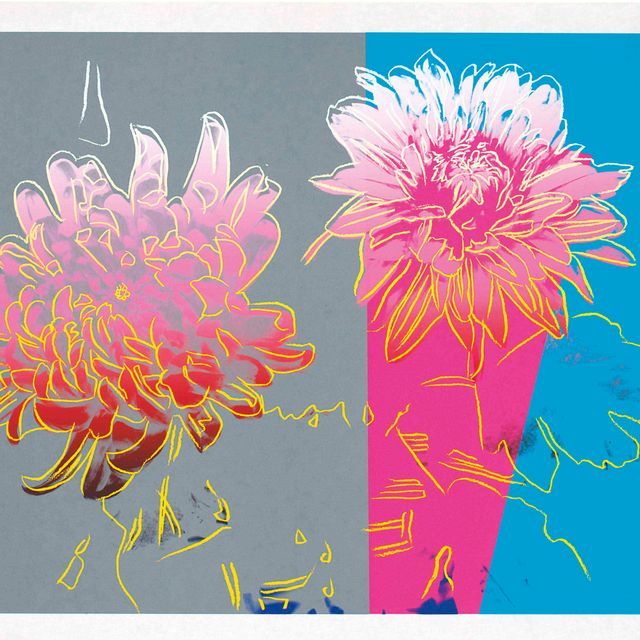 Andy Warhol — Кику: одна тарелка