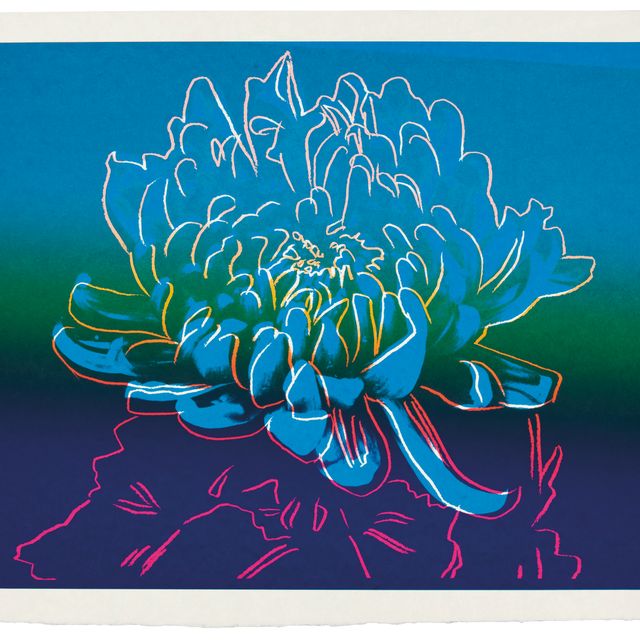 Andy Warhol — Кику: одна тарелка (см. F. & S. II.307)
