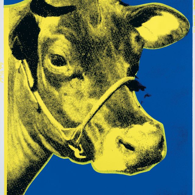 Andy Warhol — Корова (обои для рабочего стола)