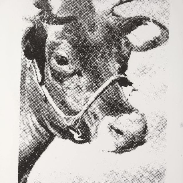 Andy Warhol — Корова