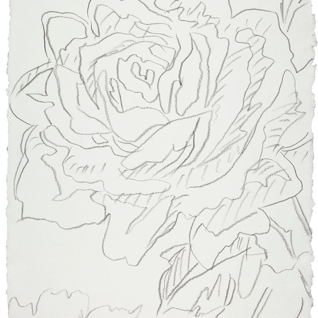 Andy Warhol — Цветы