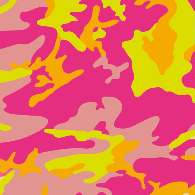 Andy Warhol — Камуфляж: одна пластина