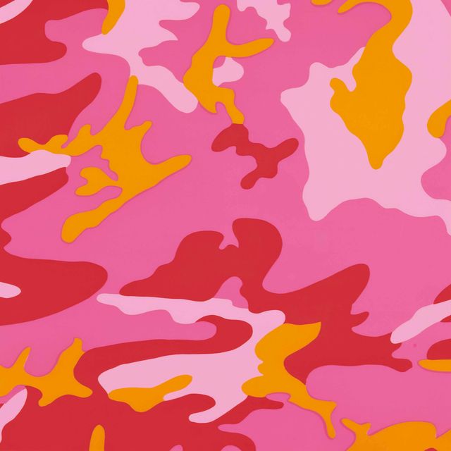 Andy Warhol — Камуфляж: одна пластина