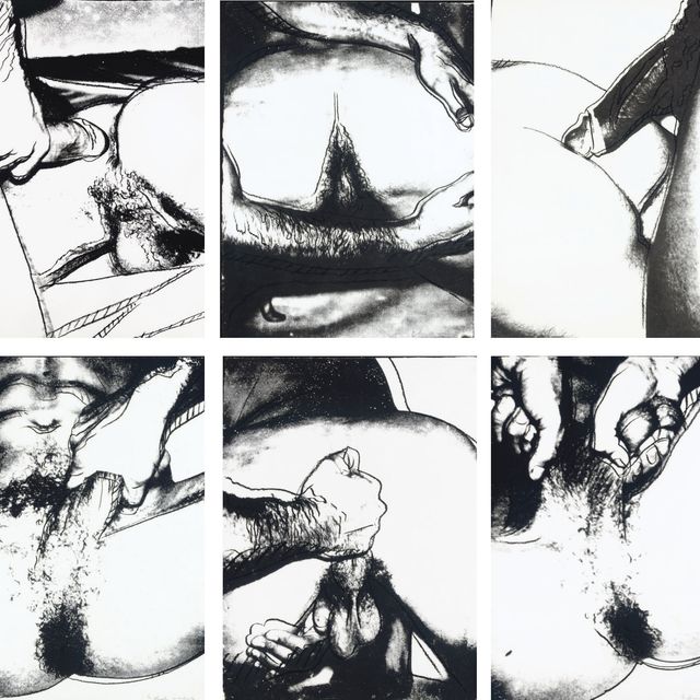 Andy Warhol — Половые органы (F. & S. II.172-77)