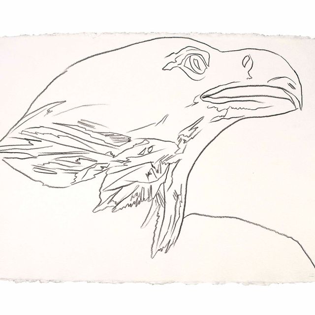 Andy Warhol — белоголовый орел