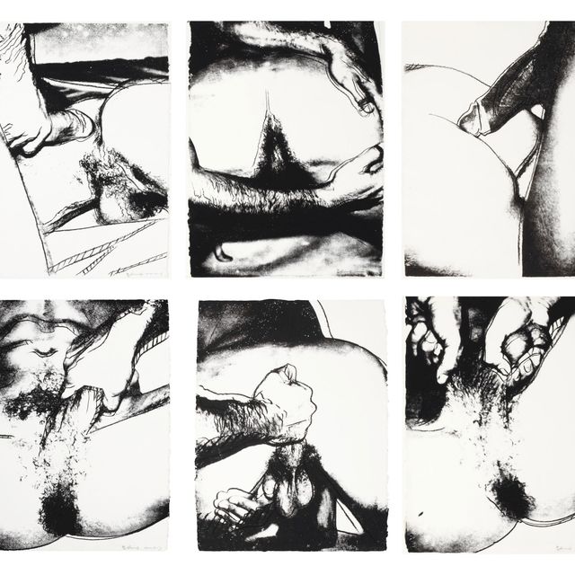 Andy Warhol — Половые органы (F. & S. II.172-177)