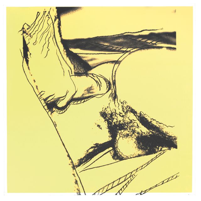 Andy Warhol — Половые органы: одна пластина (см. F. & S. II.172)
