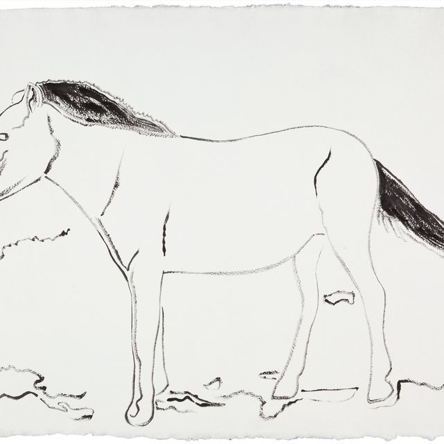 Andy Warhol — Монгольская дикая лошадь, исследование исчезающих животных