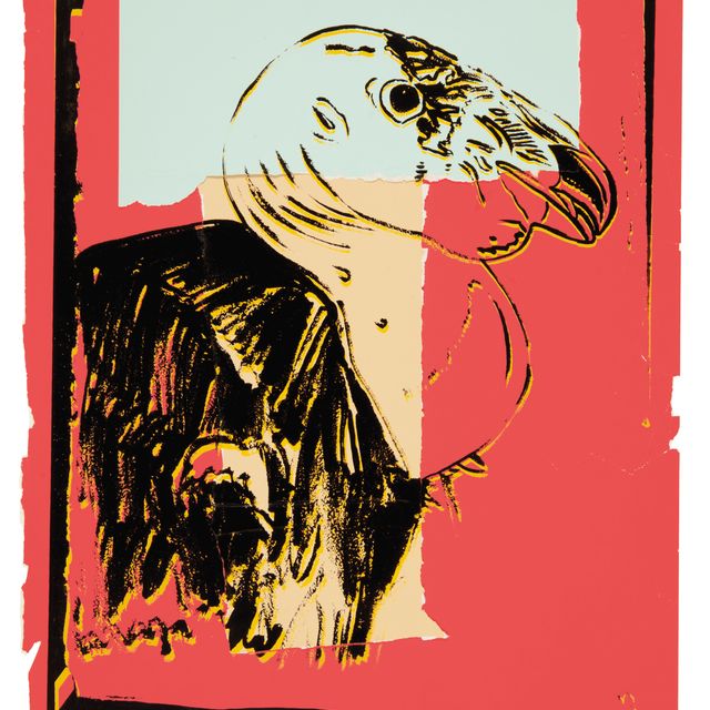 Andy Warhol — Калифорнийский кондор, из "Исчезающих животных"